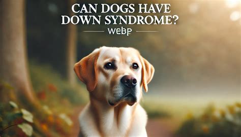 Down Syndrome Dog: Can Dogs Have This Critical Condition?