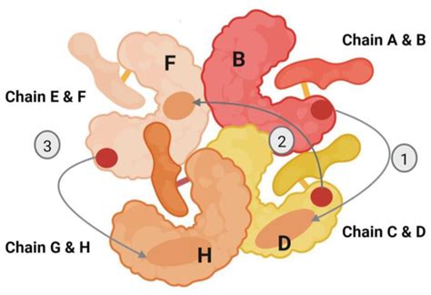 Comparative Study of High-Resolution LysB29(Nε-myristoyl) des(B30 ...
