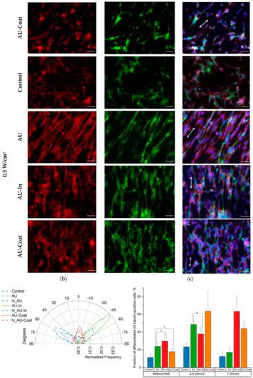 Light-to-Heat Converting ECM-Mimetic Nanofiber Scaffolds for Neuronal ...