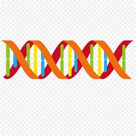 DNA双螺旋结构图矢量图__科学研究_现代科技_矢量图库_昵图网nipic.com