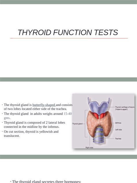 Thyroid Function Test Explained 的图像结果