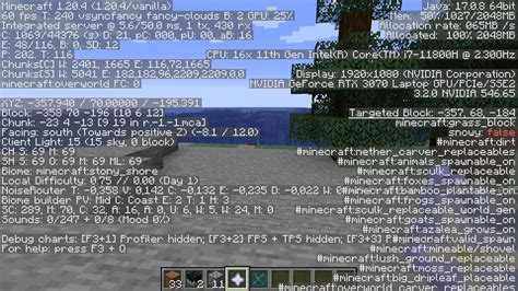 Import Settings Minecraft Java 的图像结果