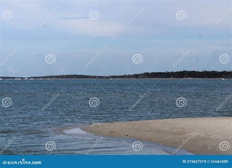 Sand Dollar Island Nc