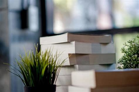 Image result for Book Report Introduction Examples