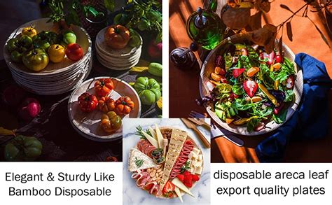 Buy Bio Box India Products 12” Round Plate , 5” Round Bowl , 6” Round ...