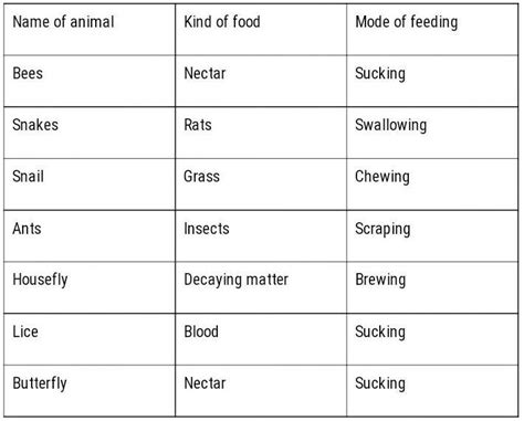 Lice,human,snail,snake,butterfly and antWhich two animals have the same ...