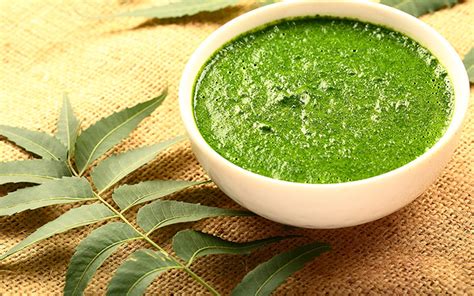 Benefits Of Neem For Face & Ways To Use It – SkinKraft