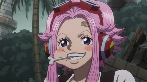 One Piece Finally Reveals Bonney's Mother