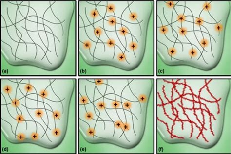 Image result for Super-Resolution Microscopy