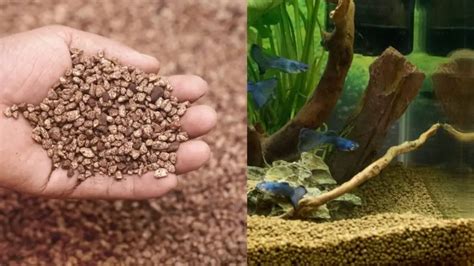 Image result for Fish Tank Substrate