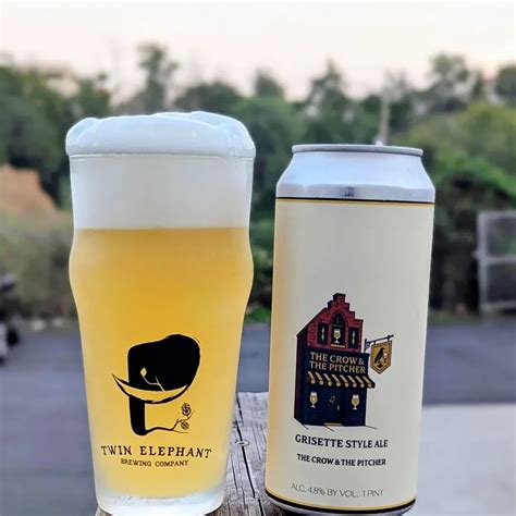 THE CROW & THE PITCHER | Grisette | 4.8% – Twin Elephant Brewing Company
