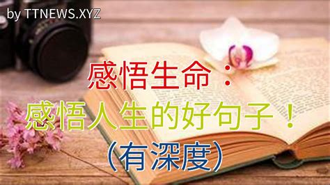 感悟生命作文600字（怎么写感悟生命作文）