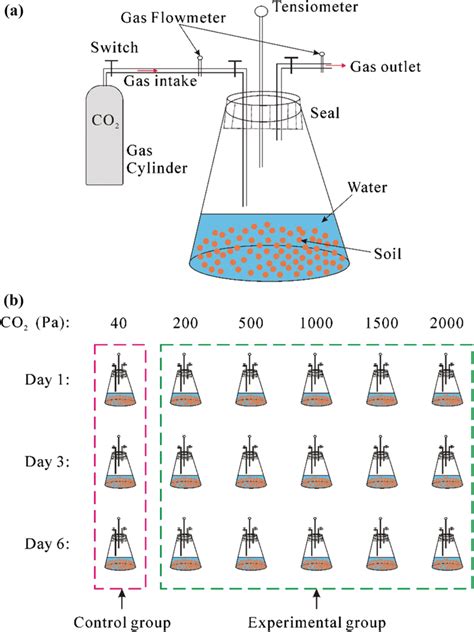 Image result for Example of Experiment