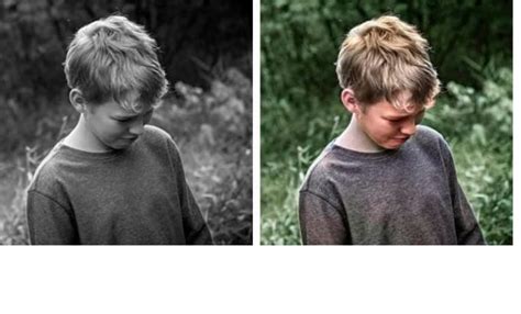 Image result for How to Restore Color