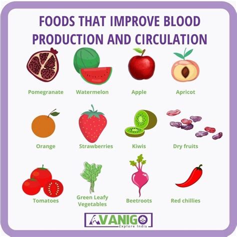 Top 10 Blood Increasing Fruits and Food List - AvaniGo