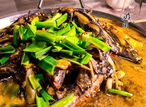 山东最出名的13道名菜，特色鲁菜合集，鲜香脆嫩，不愧是名菜之首