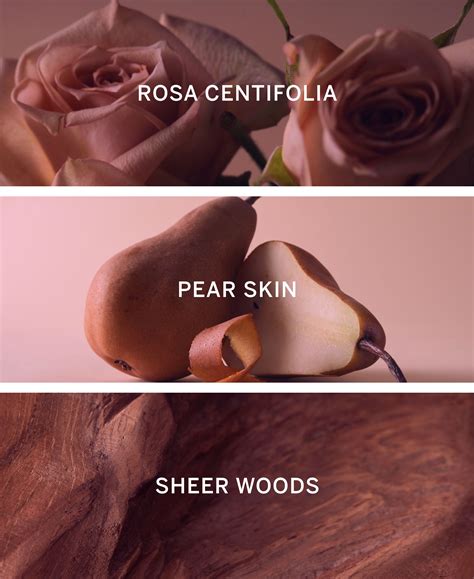 Buy Bare Rose Fine Fragrance Mist Online - Style ID: 667558205372 ...