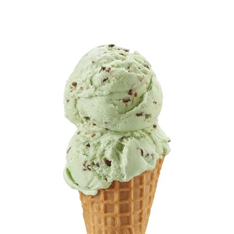 CASCADE GLACIER ICE CREAM MINT CHOCOLATE - US Foods CHEF'STORE