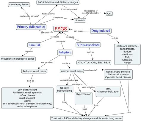Nephron Power: Concept Map: Focal Segmental Glomerulosclerosis(FSGS)