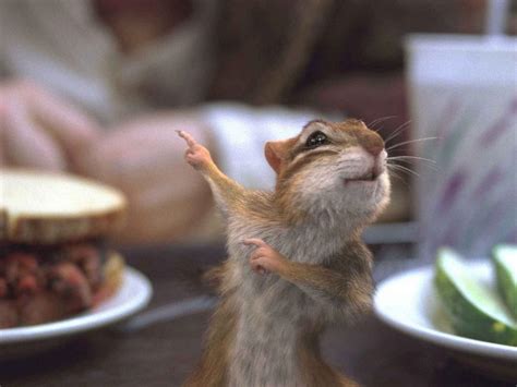 Image result for PIP Whitcher