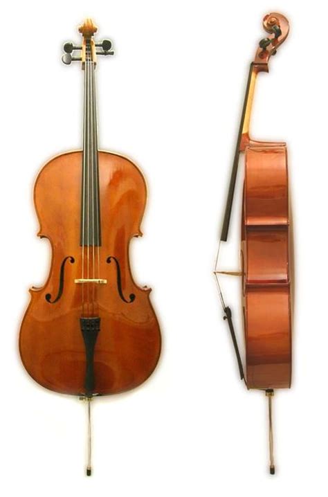Image result for String Instruments