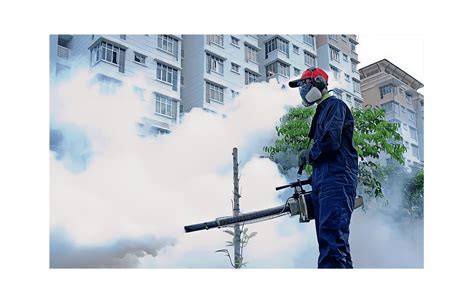 Total Pest Control & Fumigation | ISO 9001:2015 Certified Company ...