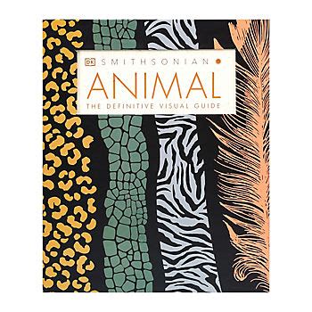 BJ Tutorial Visual 的图像结果