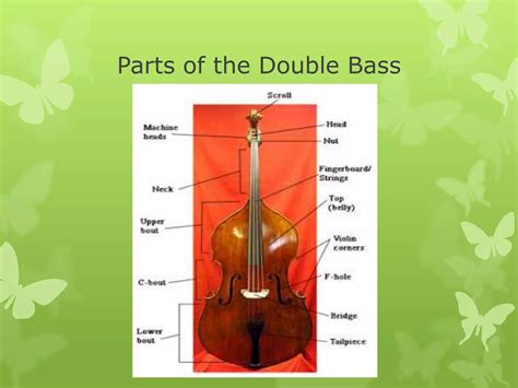 Image result for Sounds of String Instruments