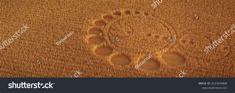 Alien DNA Crop Circle 的图像结果