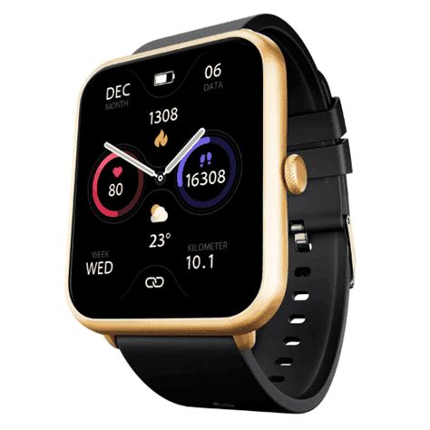 Buy Fire-Boltt Ninja Call Pro Plus Smart Watch (BSW053) with 1.83 ...