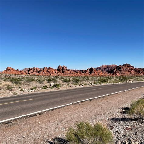 THE BEEHIVES (2024) All You Need to Know BEFORE You Go (with Photos ...