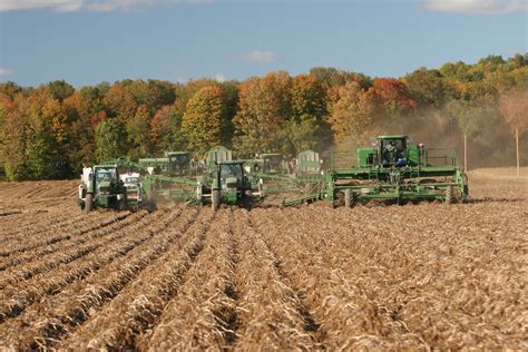 Agriculture: Agricultural