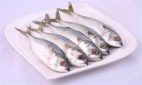 bangda fish in tamil | bangda fish in tamil-பாங்டா எனும் இந்திய ...