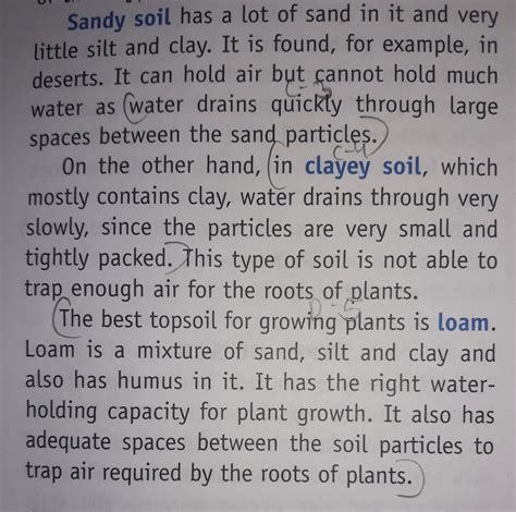 what is the different between lomay,sandy and clayey soil - Brainly.in