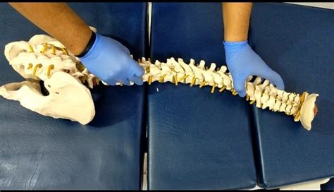 Disc Bulge Treatment Without Surgery – Chiropractor Clinic | Near Me