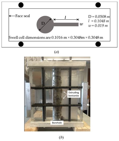 Bentonite Extrusion into Near-Borehole Fracture