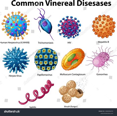 Enfermedades De Transmision Sexualidad Sida