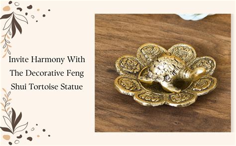 eCraftIndia Feng Shui Tortoise with Decorative Plate for Offices and ...