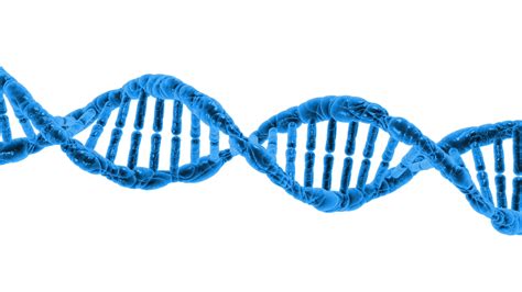 Blue DNA with Polygon Line on Transparent Abstract Background Stock ...