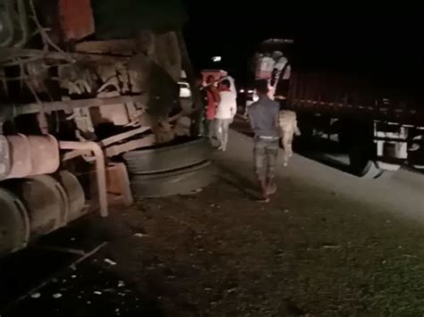 A truck carrying goats overturned near Chikhli on Navsari highway ...