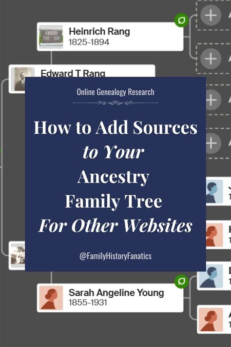 Image result for How to Create Ancestry Database