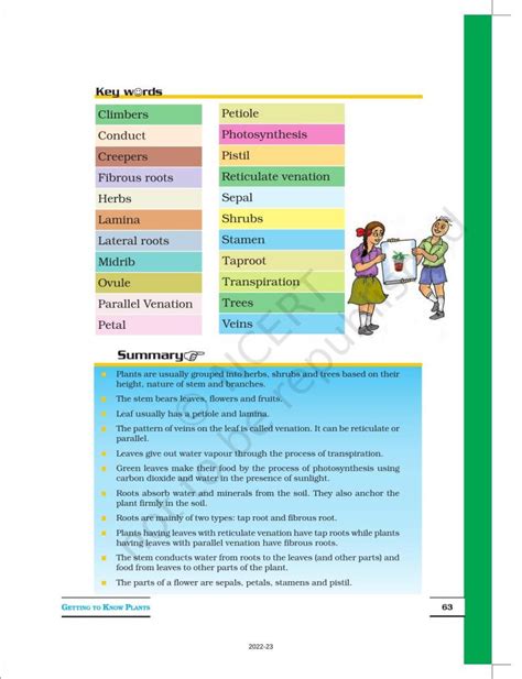 Image result for Class 6 Science Chapter 7 Book