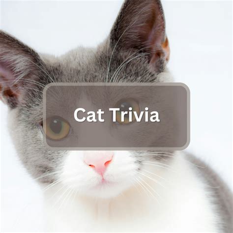 Image result for 4th Grade Science Trivia Questions