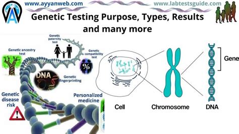Genetic Testing Definition 的图像结果