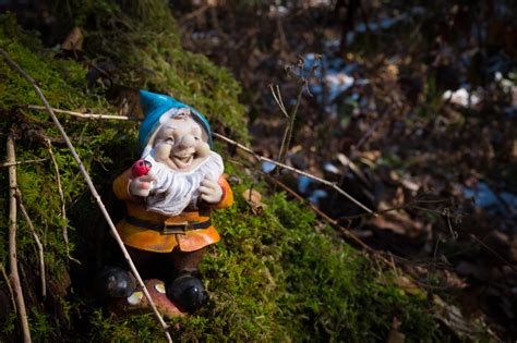 Exploring the New Gnome Trail in Maple Valley - Travelffeine