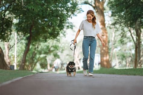 What is micro-walking? How short walks can boost long-term health