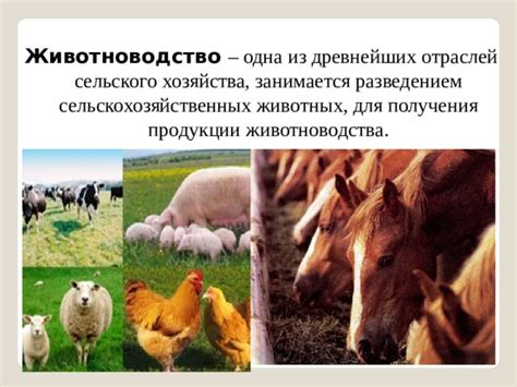 Презентация Животноводство - Начальные классы - Презентации - 2 класс
