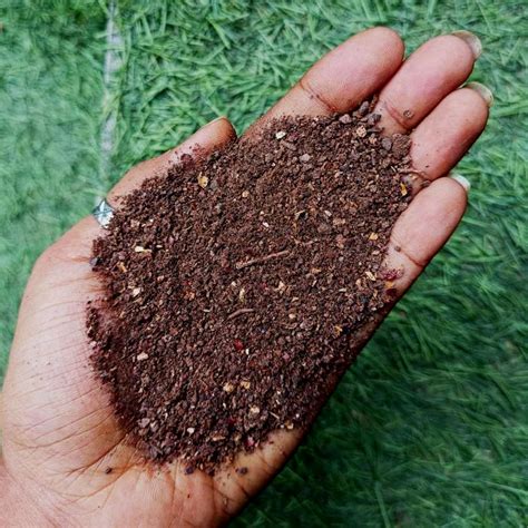 Organic Neem Khali - Nim Khol Powder (Neem Cake Powder) - Best Plant ...