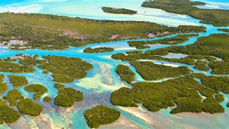 Advertising & Sponsorship