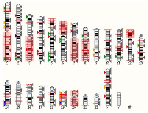 Using GPCRs as Molecular Beacons to Target Ovarian Cancer with ...